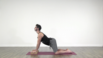 Daniel scott yoga
