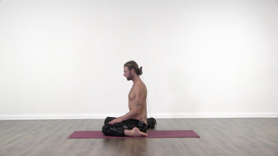 screenshot from online yoga class  at Yogateket yoga studio in Uppsala sweden