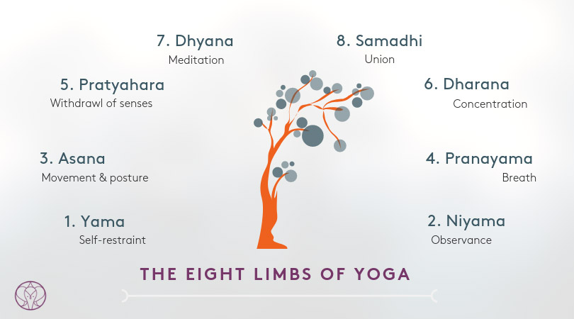 The 8 Limbs Of Yoga Explained