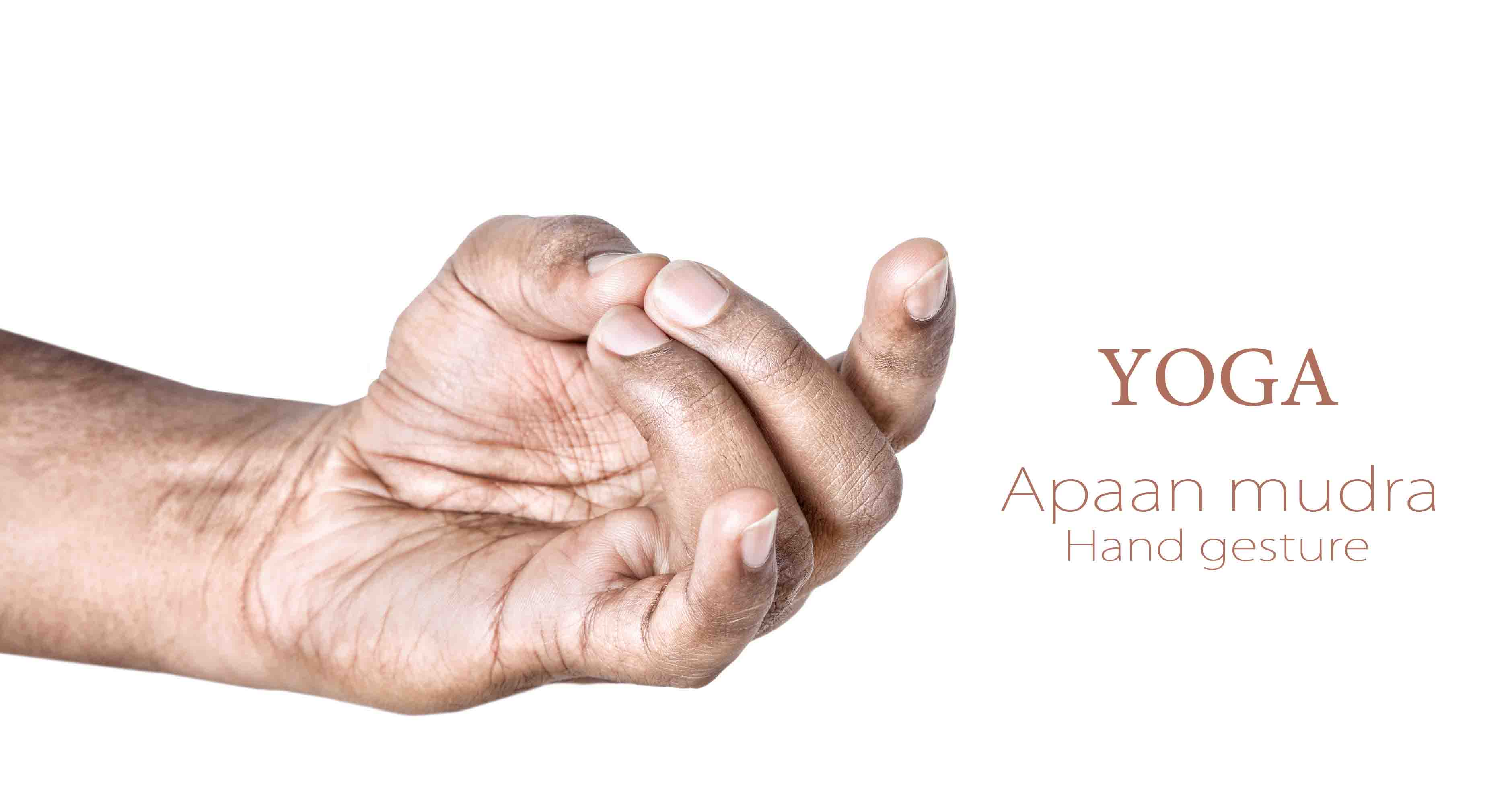 Eight Hasta Mudras - Hand Gestures