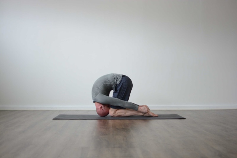 Sasangasana - Kaninen