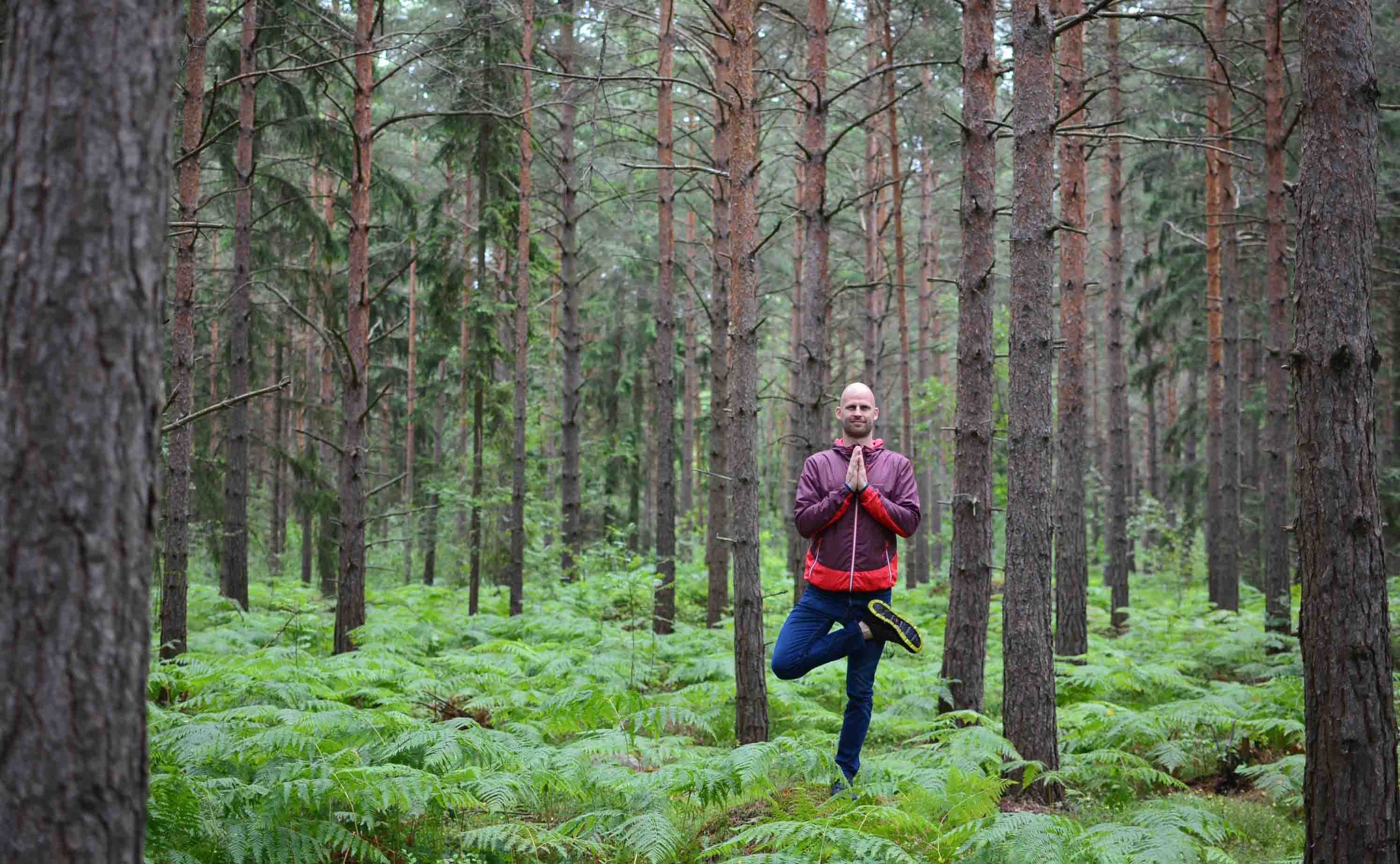 Tree pose- Vrksasana