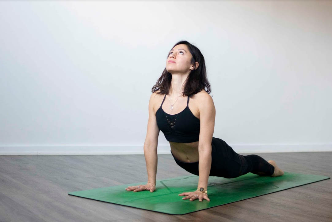Urdhva Mukha Svanasana - Upward-Facing Dog Pose